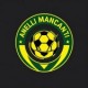 ANELLI MANCANTI FC