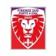 FIRENZE SUD PONTE A EMA