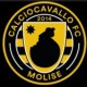 CALCIOCAVALLO F.C. MOLISE
