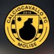 CALCIOCAVALLO F.C. MOLISE